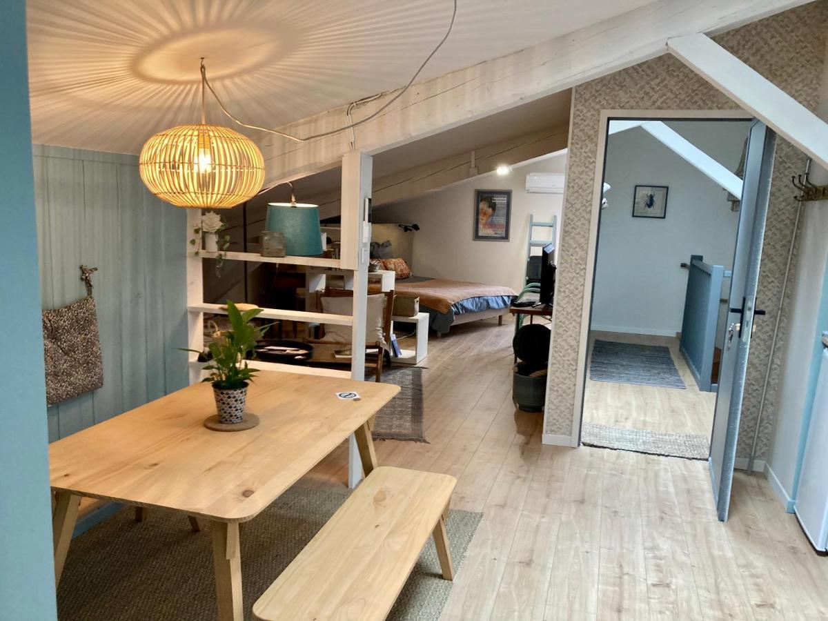 16 Bis-Gite-Hotel-Studio Marssac-sur-Tarn Exteriér fotografie